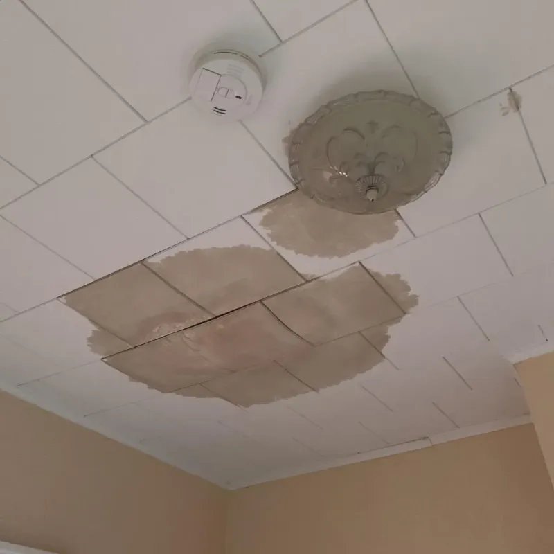 Ceiling Water Damage Repair in Folsom, PA